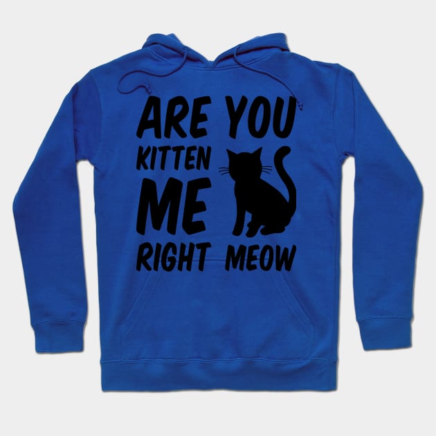 Are You Kitten Me Right Meow Hoodie by Everydayoutfit